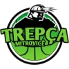 Trepca logo