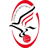 Szolnoki Olajbanyasz logo