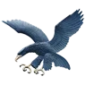 Ateneo Blue Eagles logo