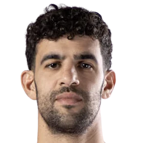 Tomer Ginat