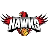lllawarra Hawks logo